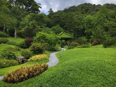 -云溪植物园