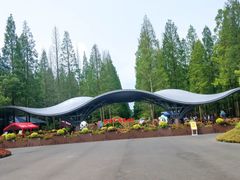 -东平国家森林公园