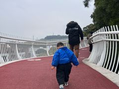 -金鸡山公园