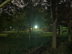 -望湖公园