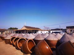 -苏州市吴中区光福窑上花果蜜饯厂