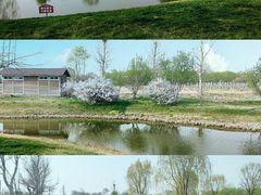 -安德鲁户外烧烤帐篷营地(马泉营店)