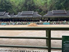 -野象谷景区