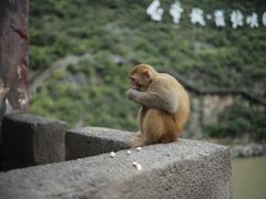 -白帝城·瞿塘峡景区