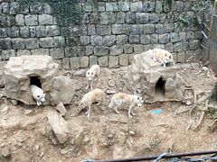 -杭州长乔极地海洋公园