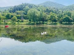 -石塘人家
