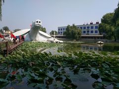 -东方巨龟苑景区