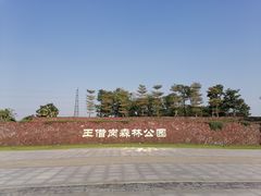 -王借岗森林公园
