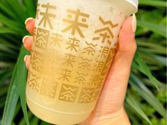 茉香雪耳梨-WILLcha未来茶浪(朝阳大悦城店)