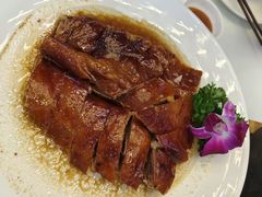 -东江海辉酒楼·公司团建·商务宴请·生日宴(宝安店)