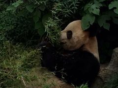 -南昌动物园