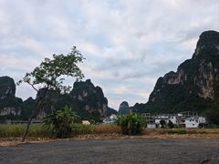 -明仕田园