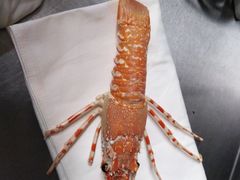 -九洲喜来登酒店湖月日餐厅