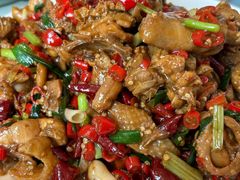 现杀果园鸡—黄焖鸡-生态苑农庄(十里画廊遇龙河店)