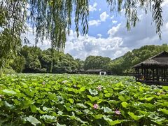 -兰亭风景区