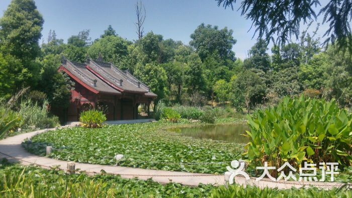 秀湖公園-圖片-璧山區周邊遊-大眾點評網