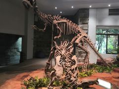 -自贡恐龙博物馆