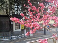 -老门东历史文化街区