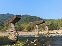 -小芝红树林