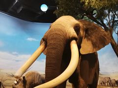 -陕西自然博物馆