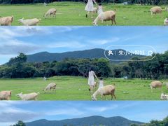 -七娘山