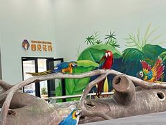 -无锡动物园·太湖欢乐园