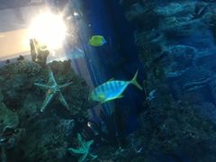 -乐从天佑城海洋馆
