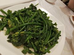 姜汁炒介兰苗-朱仔记食府(江南大道店)
