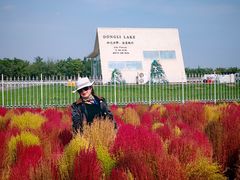 -天津东丽湖风景区