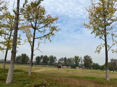 -汉长安城未央宫国家考古遗址公园