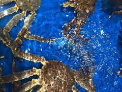 -盒马鲜生(顺义店)