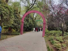 -洛阳市隋唐城遗址植物园