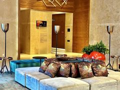 -南京禄口机场雅高铂尔曼大酒店