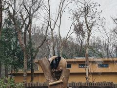 -杭州动物园