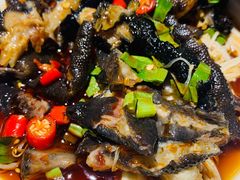 版纳黑鸡脚-茶花妹子云南餐厅(北大店)