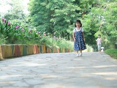 -松山湖梦幻百花洲