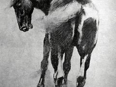 -信马画室 成人零基础到个人创作画室(亚运村店)