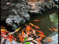 -广州白天鹅宾馆