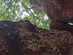 -幕燕滨江·燕子矶公园