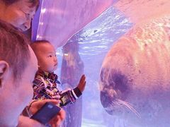 -上海海昌海洋公园-冰山北极馆