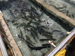 -水磨农庄