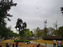 -宝安西湾红树林湿地公园