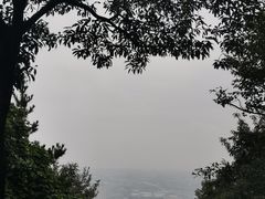 -惠山国家森林公园