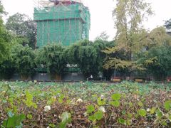 -四川大学(华西校区)