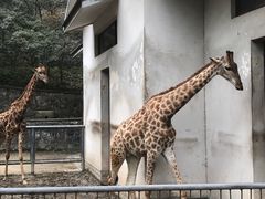 -杭州动物园