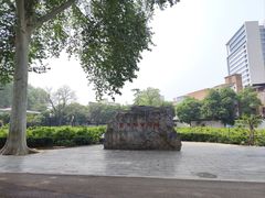 -洛阳市牡丹公园