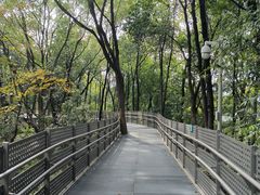 -福道