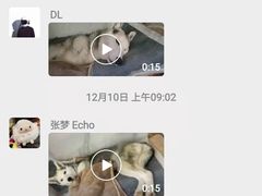 -北京派仕佳德动物医院·超导核磁·CT·神经科·骨科·内外科·急重症管理中心