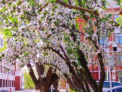 -天津五大道文化旅游区