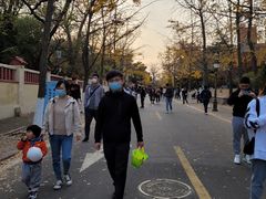 -八大关景区